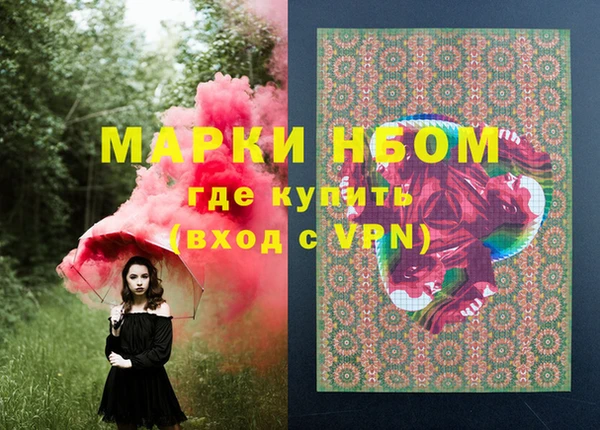 спиды Няндома