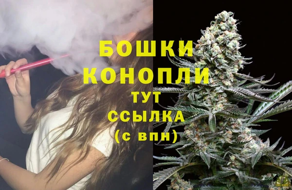 спиды Няндома