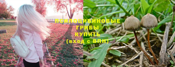 спиды Няндома