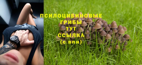 круглые Осинники