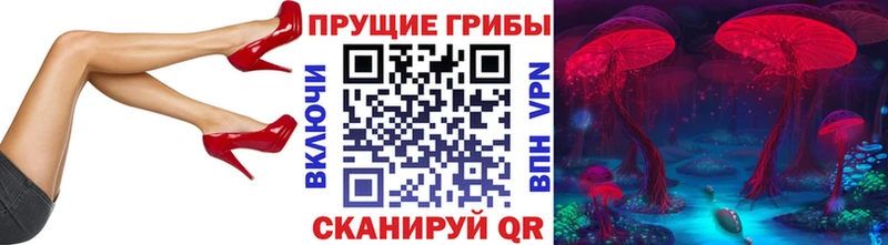 Псилоцибиновые грибы GOLDEN TEACHER  гидра как зайти  Приморско-Ахтарск  что такое  