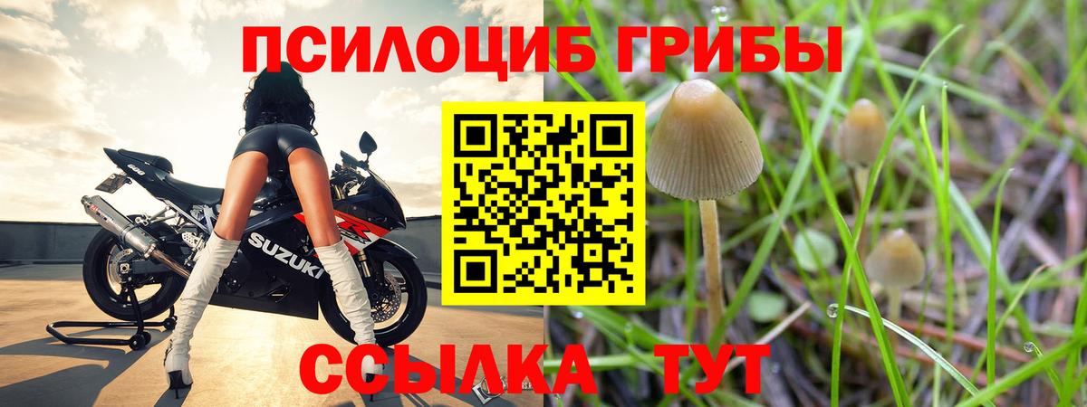 Псилоцибиновые грибы Magic Shrooms  Псилоцибиновые грибы MAGIC MUSHROOMS  Приморско-Ахтарск  Вход с VPN 