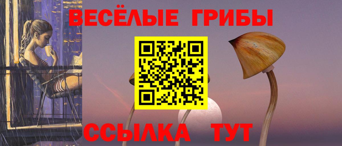 Галлюциногенные грибы GOLDEN TEACHER Приморско-Ахтарск