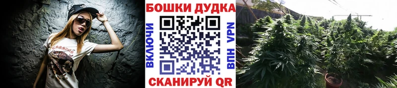 как найти наркотики Приморско-Ахтарск Бошки марихуана план